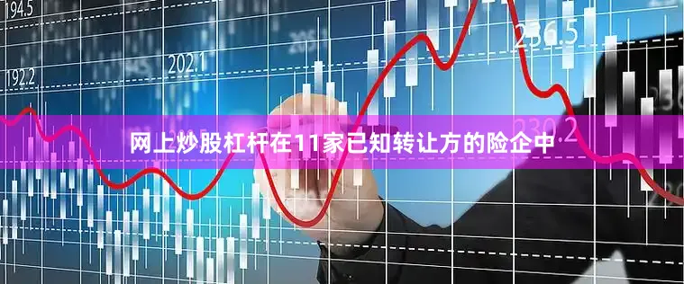 网上炒股杠杆在11家已知转让方的险企中