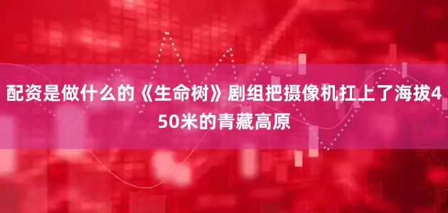 配资是做什么的《生命树》剧组把摄像机扛上了海拔450米的青藏高原