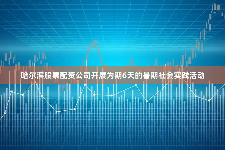哈尔滨股票配资公司开展为期6天的暑期社会实践活动